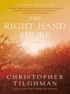 cover image of The Right-Hand Shore